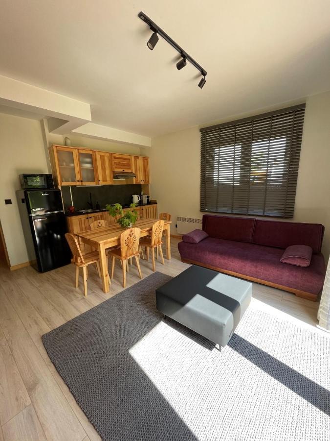 Apartament Zakopane Willa Hrube Parter Z Tarasem I Kominkiem Extérieur photo