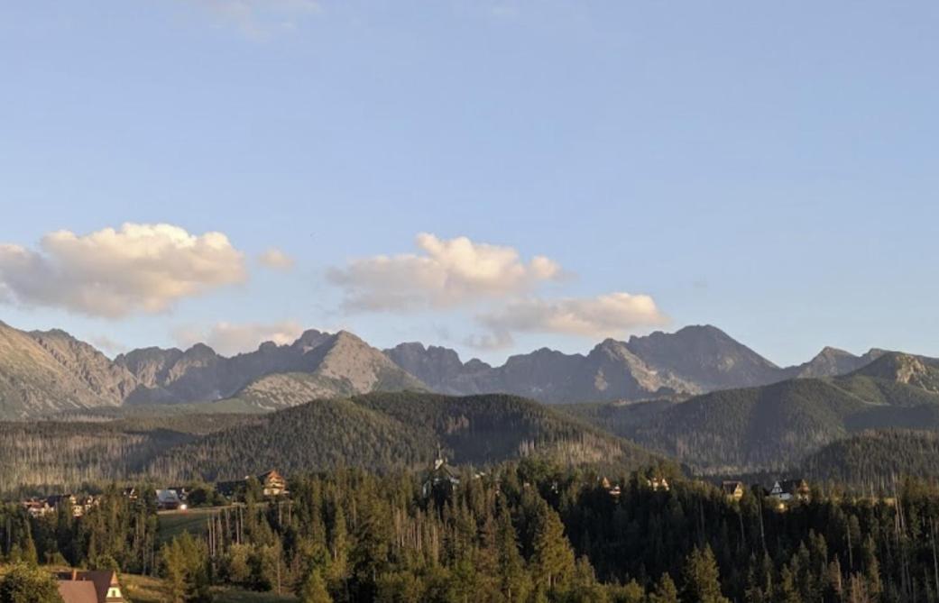Apartament Zakopane Willa Hrube Parter Z Tarasem I Kominkiem Extérieur photo